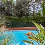 Michelangelo 4* Sorrento